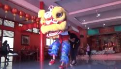 Vakum Selama Pandemi, Kelompok Barongsai Liong Bali Kebanjiran Order Imlek