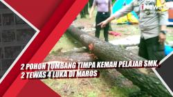 Video 2 Pohon Tumbang Timpa Kemah Pelajar SMK, 2 Tewas 4 Luka di Maros