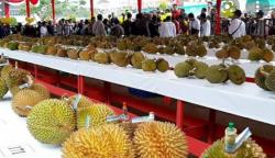 Tempat Durian Paling Enak di Jakarta, Salah Satunya di Depan Makam Pahlawan