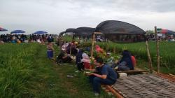 Wisata Kuliner Pinggir Sawah di Blora Ini Ramai Dikunjungi, Omzetnya Jutaan Rupiah  