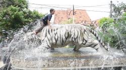 Anak Asuh Tunggangi Maung Bodas Siliwangi, Dedi Mulyadi Beri Nasihat Ini<