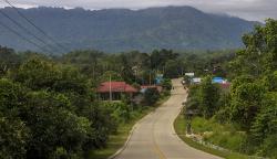 Penampakan Akses Jalan Menuju Ibu Kota Negara Nusantara Dikelilingi Hutan 