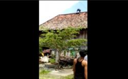 Nekat Naik Atap Rumah Panggung, Pengedar Narkoba Langsung Turun Dengar Tembakan Polisi 