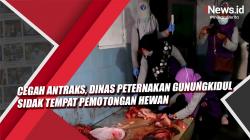 Cegah Antraks, Dinas Peternakan Gunungkidul Sidak Tempat Pemotongan Hewan