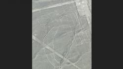 Pesawat Ringan Jatuh dan Terbakar, 5 Wisatawan Luar Negeri Tewas