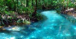 6 Sungai dengan Pemandangan Indah di Indonesia, Nomor 3 Airnya Ada Dingin dan Hangat