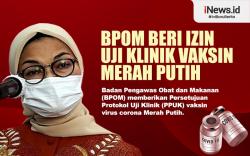 Infografis BPOM Beri Izin Uji Klinik Vaksin Merah Putih
