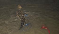 Ngeri! Puluhan Ekor Buaya Berkeliaran Bebas di Sungai Palu, Ini Kata BKSDA