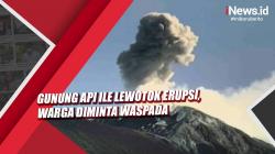 Video Gunung Api Ile Lewotok Erupsi, Warga Diminta Waspada