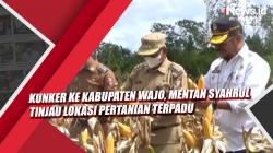 Kunker ke Kabupaten Wajo, Mentan Syahrul Tinjau Lokasi Pertanian Terpadu