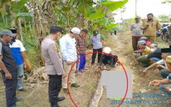 Heboh, Nenek-Nenek di Jambi Tewas Dililit Ular Piton Sepanjang 6 Meter, Jasad Nyaris Dimangsa