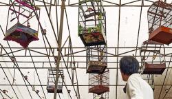 Serunya Melihat Lomba Kicau Burung Kenari