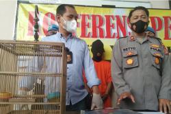 Tepergok Curi Burung, Warga Jogja Nyaris Dihajar Massa 