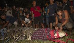 Ini Sosok Hili, Warga Sragen Penakluk Buaya Berkalung Ban di Palu<