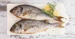 Terungkap, Batasi Konsumsi Ikan yang Berjenis Ini, Ternyata Mengandung Merkuri