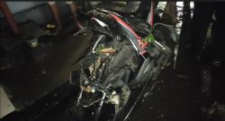 Diterjang Hujan Deras dan Angin Kencang, Pohon Petai Timpa Pengendara Motor