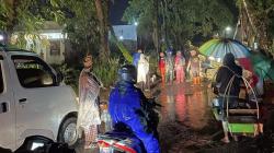 Pohon Mahoni Diameter 120 Cm di Sukaraja Sukabumi Tumbang, Lalu Lintas Sempat Macet<