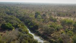 5 Penjaga Hutan dan 1 Tentara Tewas Diserangan Gerilyawan saat Patroli 