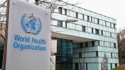 WHO Resmi Ubah Sebutan Cacar Monyet Jadi mpox