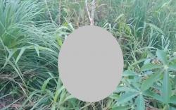 Timika Gempar, Jasad Perempuan Ditemukan Tergeletak di Kebun