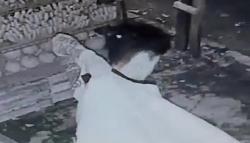 Majalengka Heboh, Pemuda Gasak Uang Pedagang Buah Sambil Tunjukkan Tato Terekam CCTV<