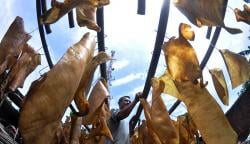 Geliat Produksi Kerupuk Rambak Kulit Sapi Andalan Warga Penanggulan Kendal