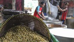 Harga Kedelai Naik, Pabrik Tempe Tahu Stop Produksi 21-23 Februari 2022