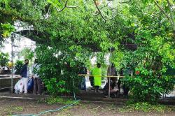 Polisi Bongkar Makam Bayi Misterius di Bantul, Begini Penjelasannya