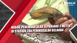 Video Heboh, Penemuan Ular Sepanjang 5 Meter di Stasiun Tua Peninggalan Belanda