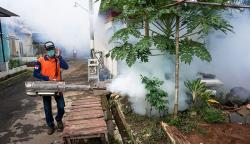 Pengasapan Cegah Penyebaran Nyamuk Aedes Aegypti Penyebab DBD