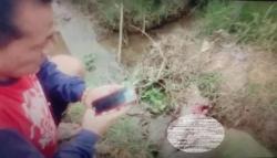 Diamuk Massa, Pencuri Motor Terkapar di Sawah Desa Gempolsari Subang<