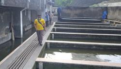 Dituding Gunakan Bangkai Ayam, Pemilik Peternakan Lele di Garut Tak Terima<