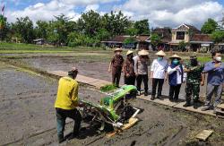 Kementan Dorong Pengembangan Padi Varietas IP400, Setahun Dipanen 4 Kali