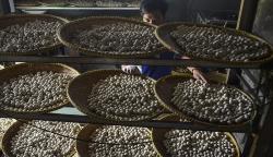 Ukuran Tahu Bulat Mengecil akibat Harga Kedelai Naik