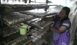 Kedelai Mahal, Perajin Tempe di Tuban Terpaksa Perkecil Ukuran hingga 10 Persen 