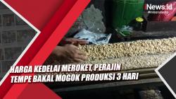 Video Harga Kedelai Meroket, Perajin Tempe Bakal Mogok Produksi 3 Hari