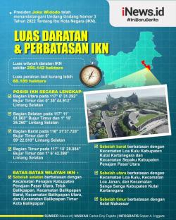 Dibangun 20 Km dari Istana Negara, Bandara di IKN Khusus Layani Penerbangan Ini<