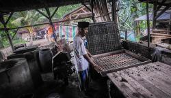 Kedelai Mahal, Pembuat Tahu di Aceh Kurangi Produksi hingga 50 Persen