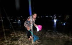 Perayaan Bau Nyale, Warga Menginap di Pantai Seger Mandalika Berburu Cacing Laut<