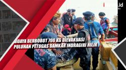 Buaya Berbobot 700 Kg Dievakuasi Puluhan Petugas Damkar Indragiri Hilir