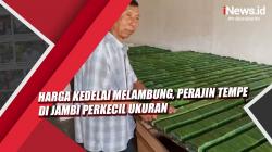 Video Harga Kedelai Melambung, Perajin Tempe di Jambi Perkecil Ukuran