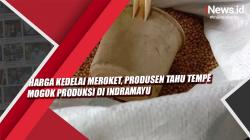 Harga Kedelai Meroket, Produsen Tahu Tempe Mogok Produksi di Indramayu<