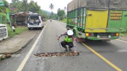 Mantap! Polantas di Tanggamus Tambal Jalan Berlubang