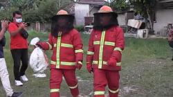 Petugas Damkar Evakuasi Sarang Tawon di Permukiman Warga Pangkalpinang