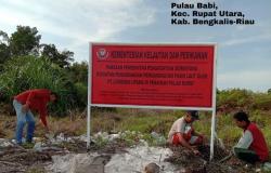 KKP Setop Kegiatan Penambangan Pasir Laut di Pulau Babi, Beting Aceh, dan Rupat