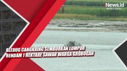 Bledug Cangkring Semburkan Lumpur Rendam 1 Hektare Sawah Warga Grobogan