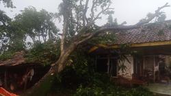 Diterjang Hujan Deras dan Angin Kencang Puluhan Rumah Warga Indramayu Rusak<