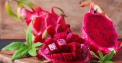 Terungkap, Ternyata Buah Naga Berkhasiat Atasi Kolesterol Tinggi