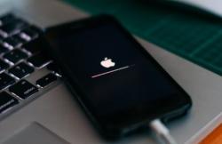 Cara Screenshot Panjang Vertikal di iOS 14