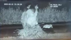 Terungkap! Video Mesum di Lapangan Renon Direkam 2 Polisi Pakai HP dari CCTV Polda Bali